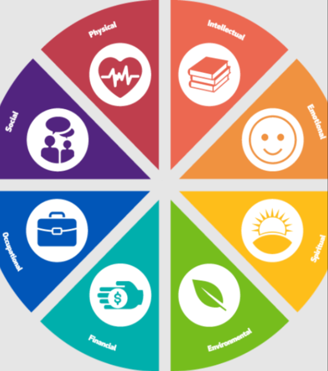 Wheel of health and wellness which is the basis of how we work